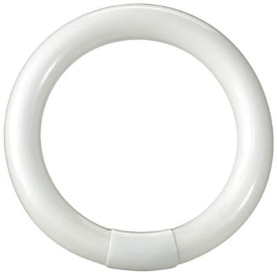 Tubo Neon Circolare T9 32W 305Mm Luce Bianchissima - Maurer