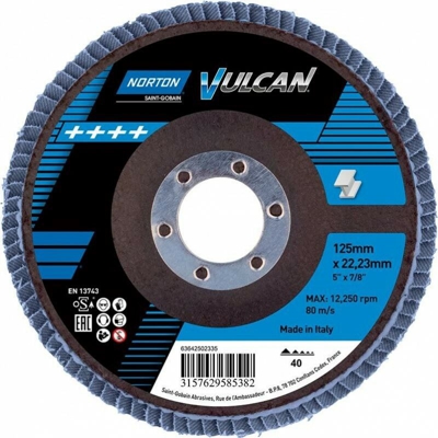 Disk Foglie Vulcan 125 Millimetri P40