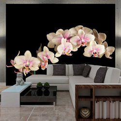 Artgeist - Fotomurale - Orchidea in fiore - 350x270 características