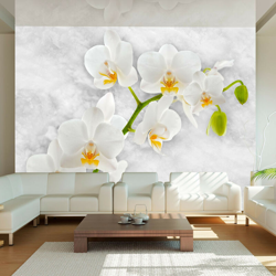 Artgeist - Fotomurale - Lirica orchidea - bianco - 350x245 en oferta