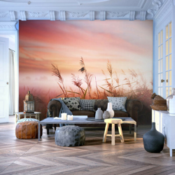 Artgeist - Fotomurale - Prato di campagna all'alba - 350x270 en oferta