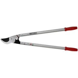 Troncarami, Argento / Rosso en oferta