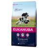 Eukanuba Growing Puppy Medium Breed Pollo - 15 kg características