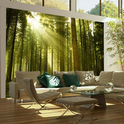 Artgeist - Fotomurale - Foresta di pini - 350x270 precio