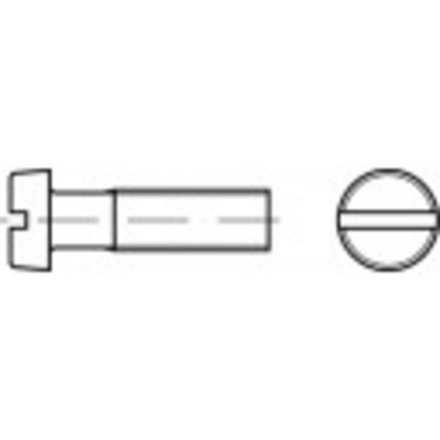 TO-5445459 Viti cilindriche M3 8 mm Taglio DIN 84 Poliammide 200 pz. - Toolcraft