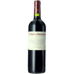 ESPRIT DE CHEVALIER 2018 - SECONDO VINO DEL DOMAINE DE CHEVALIER características