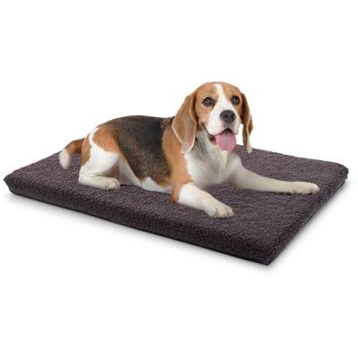 Brunolie Nala, Lettino per Cani, Materassino per Cani | Lavabile | Antiscivolo | Traspirante | Comodo Espanso | Taglia S (80x5x60 cm)