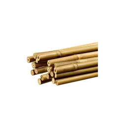 50 CANNE BAMBOO CM.120 08/10 mm características