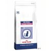 Royal Canin Neutered Young Female Vet Care - 10 kg