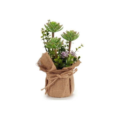 Pianta Decorativa Plastica (13 x 25 x 13 cm) - Ibergarden