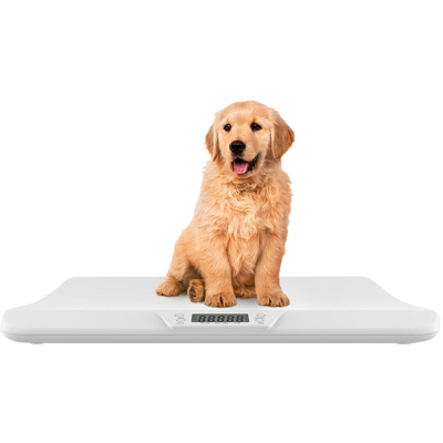 Domestico del bambino bilance elettroniche speciali, modelli di ricarica interfaccia USB, batteria incorporata, limite di peso di 20 kg