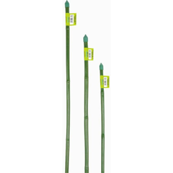 Verdemax - Canna bamboo h 90 cm 8-10 mm, mazzo 7 pz características