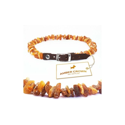 Collana in ambra con chip e contro le zecche per cani e gatti con un regolabile con nastro in pelle Non trattato, originale Collana d'ambra baltica