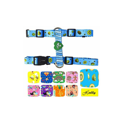 Holly Pettorina classica per cani, design divertenti; spedizione 24 ore - 72 ore, progettata e prodotta da noi. características