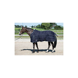 Harry's Horse 32205951-07-175 cm - Coperta da stalla, 500 g, 175 cm, colore: Verde precio