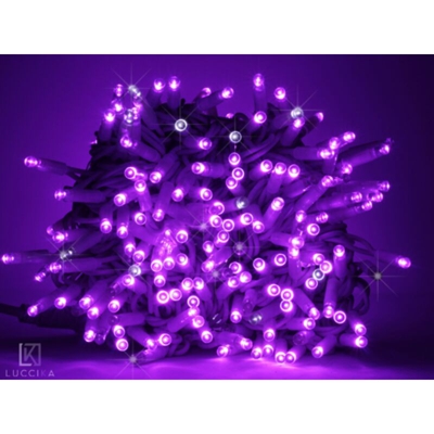 stringa catena 10 metri serie 100 luci di Natale a Maxi Led Viola con Flash Bianco Ghiaccio per uso esterno ed interno professionale Porpora 10 metri