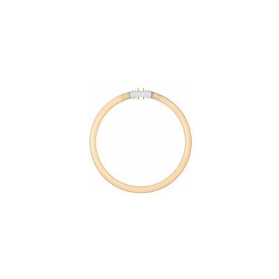 50105/32/31Â a, TLÂ â??Â FluorescenteÂ â??Â Diametro 24,4Â cmÂ â??Â 1Â X 32Â W, 2700Â K, T5, Bianco - Lucide