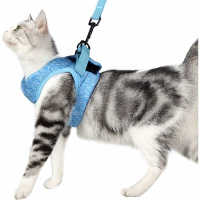 Imbracatura e guinzaglio per Gatto Kitten Collana Giacca a chat ultra-leggera in esecuzione morbida e confortevole, impermeabile, adatta per cuccioli