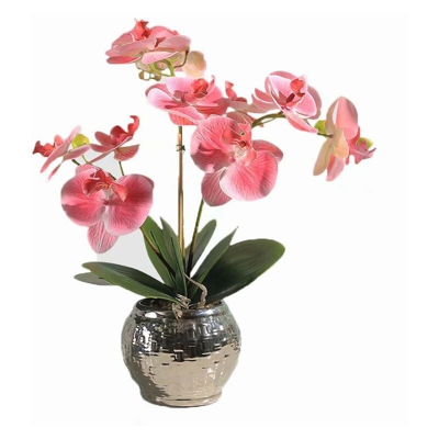 Simulazione Flowerpot Plant Path Art Orchidy Art Pacchetto Decorazione Della Decorazione Della Casa Soggiorno soggiorno Sala da caffè Decorazione