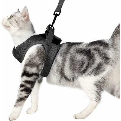 Imbracatura e guinzaglio per gatto Kitten collana Giacca a chat ultra-leggera con morbido e confortevole, impermeabile, adatto per cuccioli e conigli