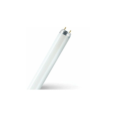 LED lampadina, Vetro, G13, 16.2Â W, Bianco freddo, 121.2Â x 2.6Â x 2.6Â cm - Osram