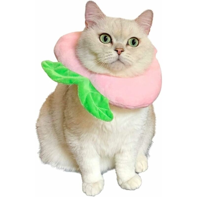 Necklazia decorativa del gatto della collana del gatto del gatto del gatto