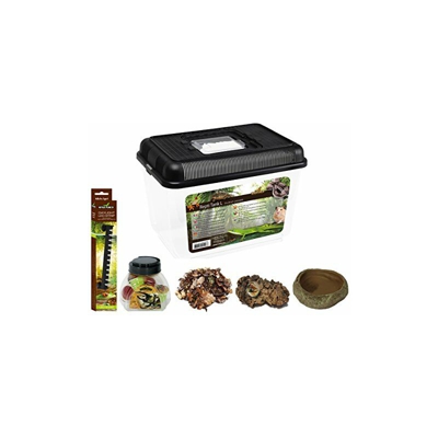 Reptiles Planet - Rectiles Planet - Kit con terrario insetto in plastica per cereali, 31 x 20 x 21 cm