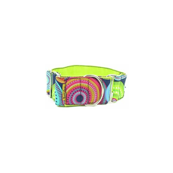 tpl150024Â Collana Martingale con Cerchi Multicolore per Cani, S - Thepetlover características