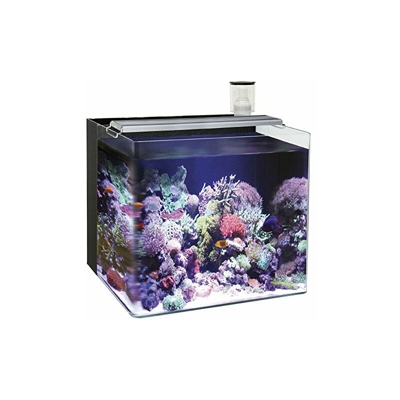 Ocean Free AT641Â A Nano Acquario Marino