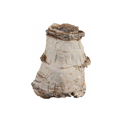 32352 Rock Asian Pagoda XXL (Pezzo ca. 6 kg), Pietra Naturale, Decorazione per Acquario, Pagodo, Aquascaping - Sera características