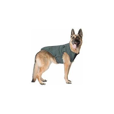 Canada Pooch Northern Knit CP01828 - Felpa con cappuccio, taglia 22, colore: Verde