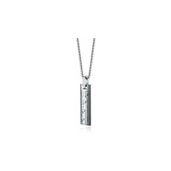 Collana con ciondolo a forma di zampa di cane, gatto, urna funeraria cenere cremazione, in acciaio inossidabile, personalizzabile e Acciaio precio