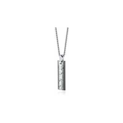 Collana con ciondolo a forma di zampa di cane, gatto, urna funeraria cenere cremazione, in acciaio inossidabile, personalizzabile e Acciaio
