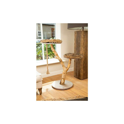 Beeztees K&Bz Tiragraffi per Legno It Elarancio, 50 x 50 x 100 300 g características