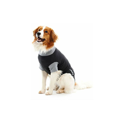 Buster, Tuta per Cani en oferta