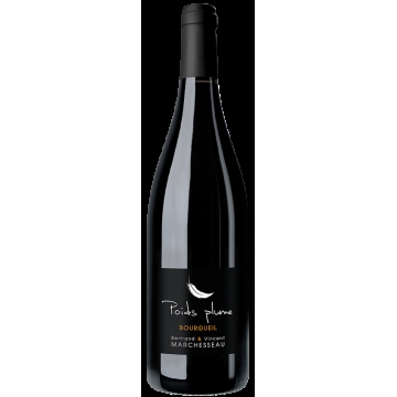 BOURGUEIL - POIDS PLUME 2020 -  BERTRAND & VINCENT MARCHESSEAU