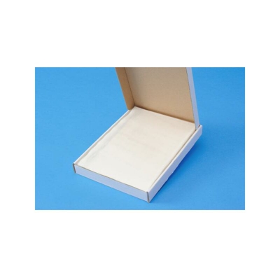 X100501 busta Polietilene Bianco - Methodo