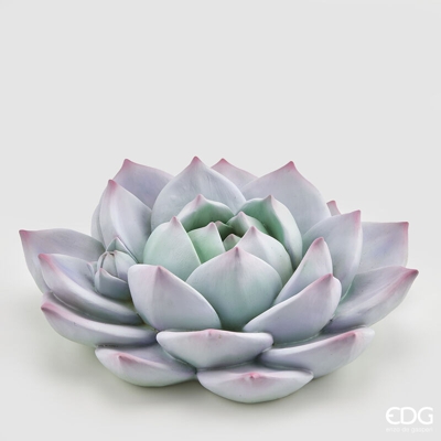 Peragashop - ECHEVERIA IN RESINA D.40 VIOLA