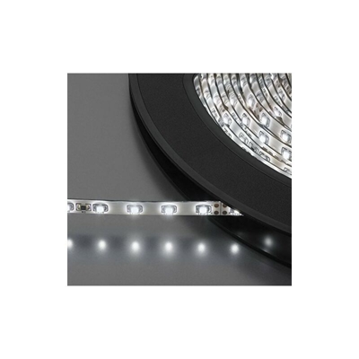STRISCIA LED FLESSIBILE IP65 LEDS-10MP/WS - Monacor