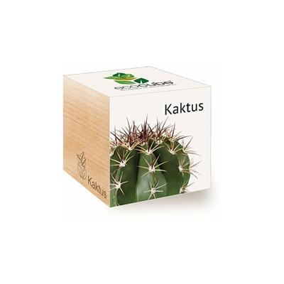 Ecocube Kactus, Idea Regalo sostenibile (100% Eco Friendly), Grow Your Own/Set di Coltivazione, Piante nel Dado in Legno, Made in Austria - Feel Green