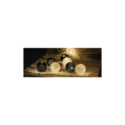 HQ HQLEDSLPBALL - Ghirlanda luminosa con 10 LED, colore: Nero/Bianco características