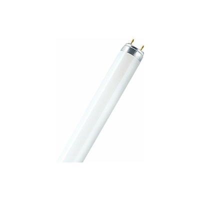 Osram Lampada fluorescente 36 Watt 830 Colore della luce L 36 W/830-1