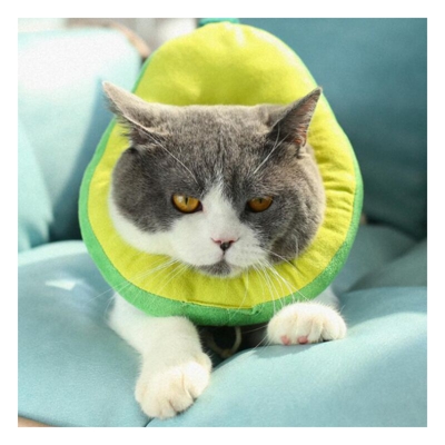 Collana di recupero per gatto Elizabeth Circle S