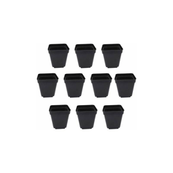 50 vasi quadrati per piante grasse, in plastica, per giardino, serre, 6 x 6 x 6,5 cm, colore: Nero - Yardwe precio