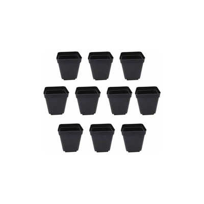 50 vasi quadrati per piante grasse, in plastica, per giardino, serre, 6 x 6 x 6,5 cm, colore: Nero - Yardwe