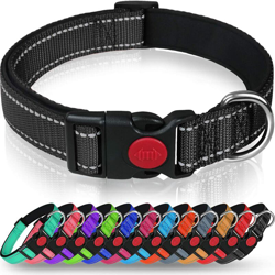 Perle Rareit - Collana in nylon riflettente reflettabile regolabile classico con morbida maglia traspirante imbottita per i cani, m, nero en oferta
