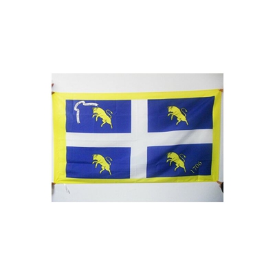 AZ FLAG Bandiera CittÃ di Torino con Stemma 150x90cm - Bandiera Torinese - Turin 90 x 150 cm Foro per Asta