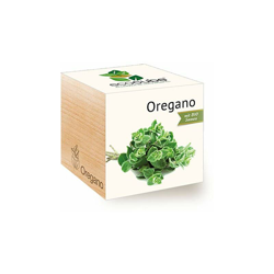 Feel Green - Eco cubo Ecocube origano, Semi biologici, Idea Regalo sostenibile, 100% Ecologico, Kit per Crescere piantine in Un Dado in Legno, precio