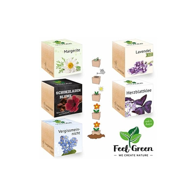 Ecocube Set di Fiori con 5 varietà â?? 25% Risparmio nel Pacchetto, Piante nel Dado in Legno, Idea Regalo sostenibile, Grow Your Own/Set di