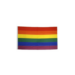 AZ FLAG Bandiera Arcobaleno 150x90cm - Gran Bandiera Gay - Rainbow Flag 90 x 150 cm Poliestere Leggero - Bandiere precio
